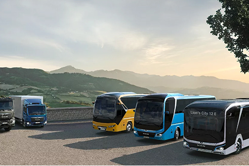 Mini electric vehicles